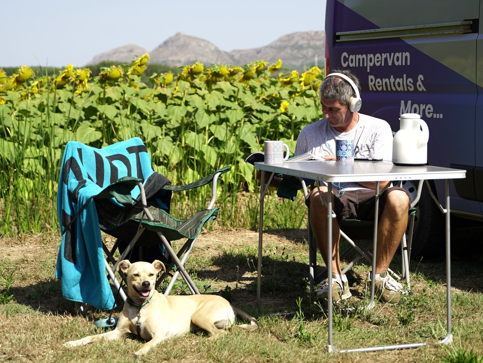 Relax time for your dog during your motorhome rental