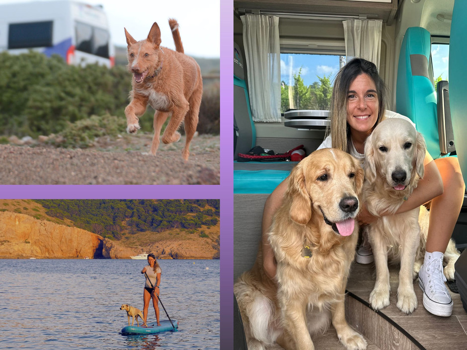 Wohnmobilreisen im Campervan mit Hund bei Activans in Spanien