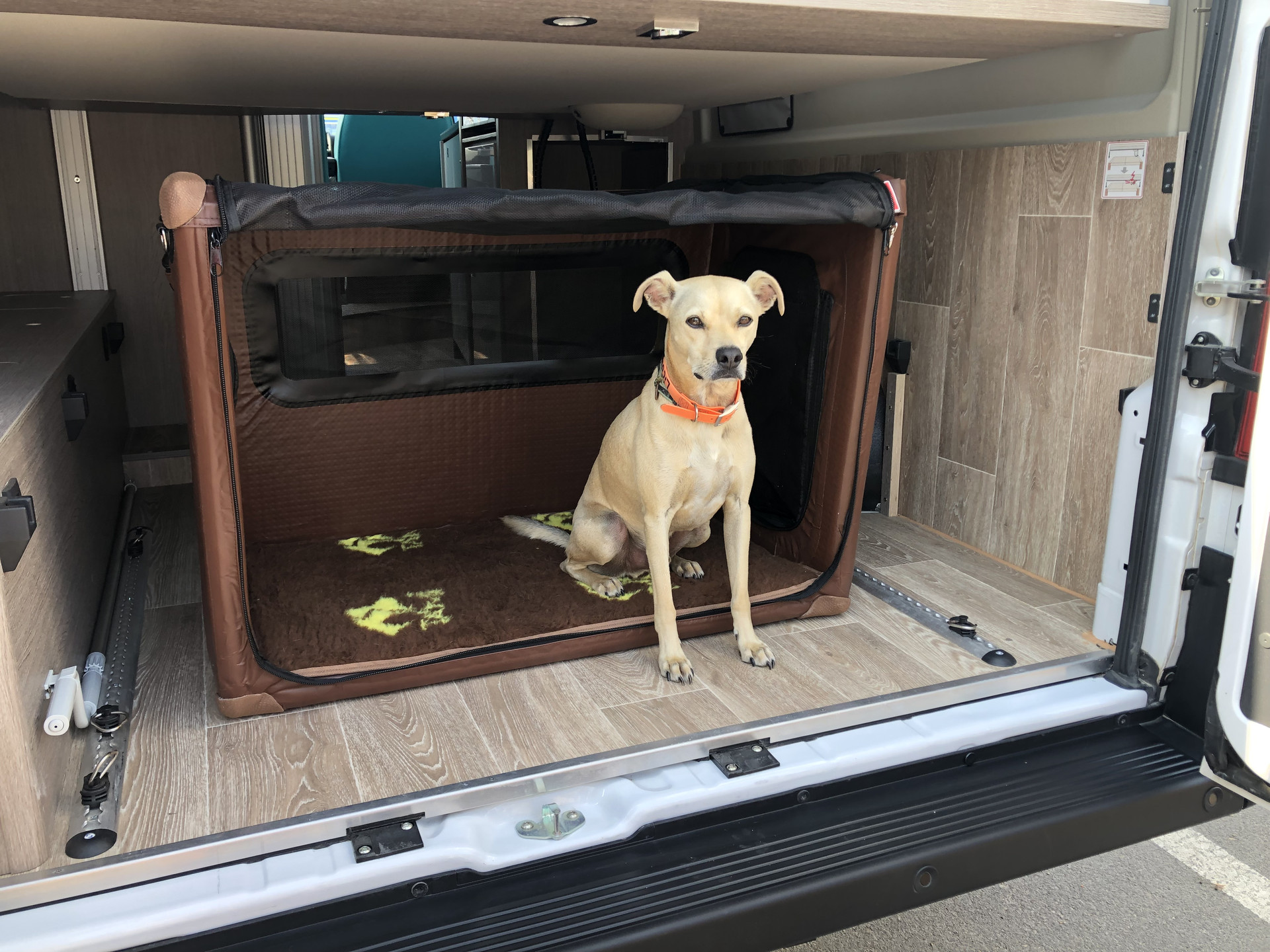 Rent your activans motorhome with your dog